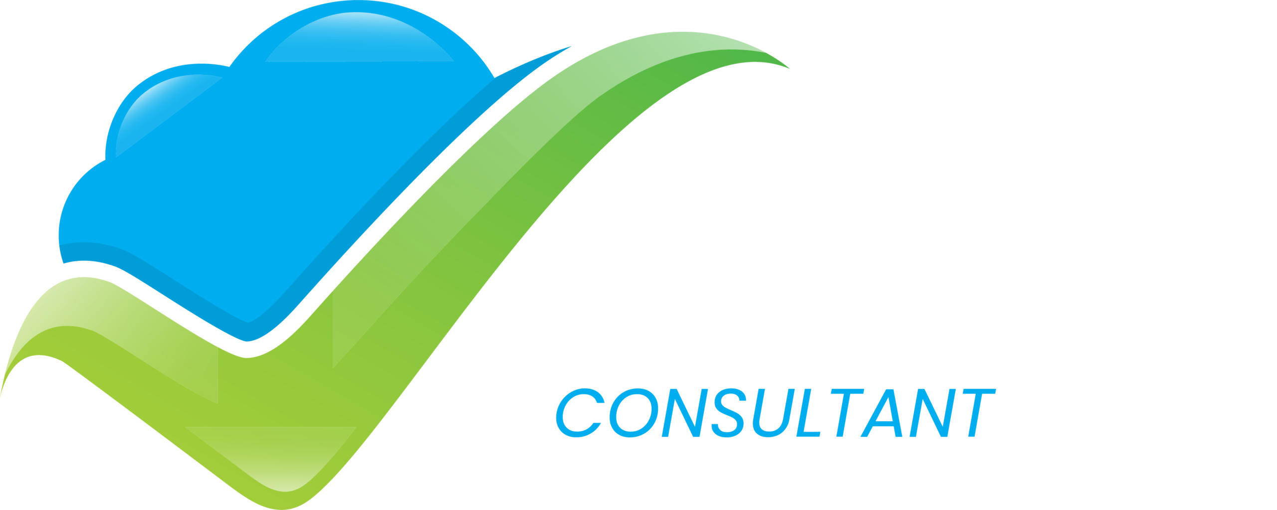 Skyline Consultant Logo